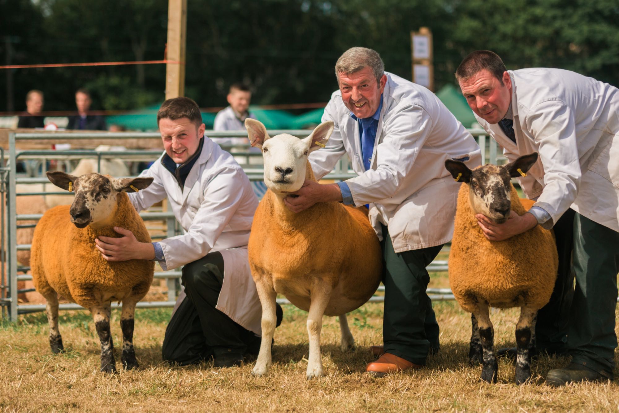 Visitor Information FAQ Caithness Show