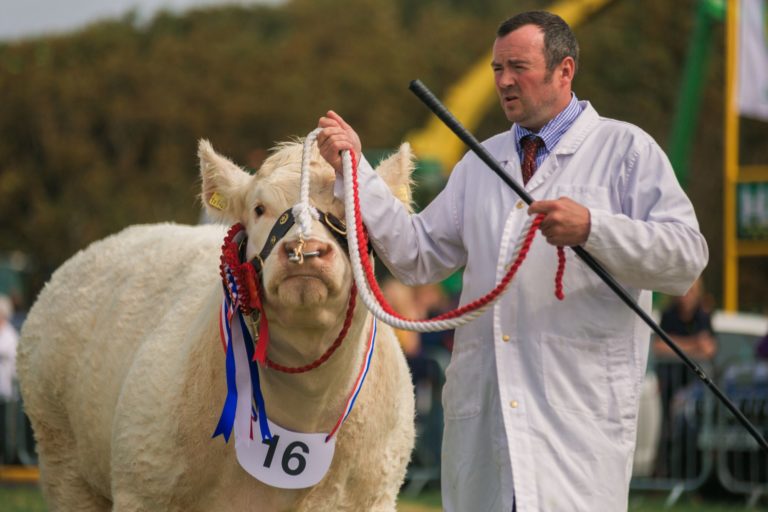 Entries Caithness Show