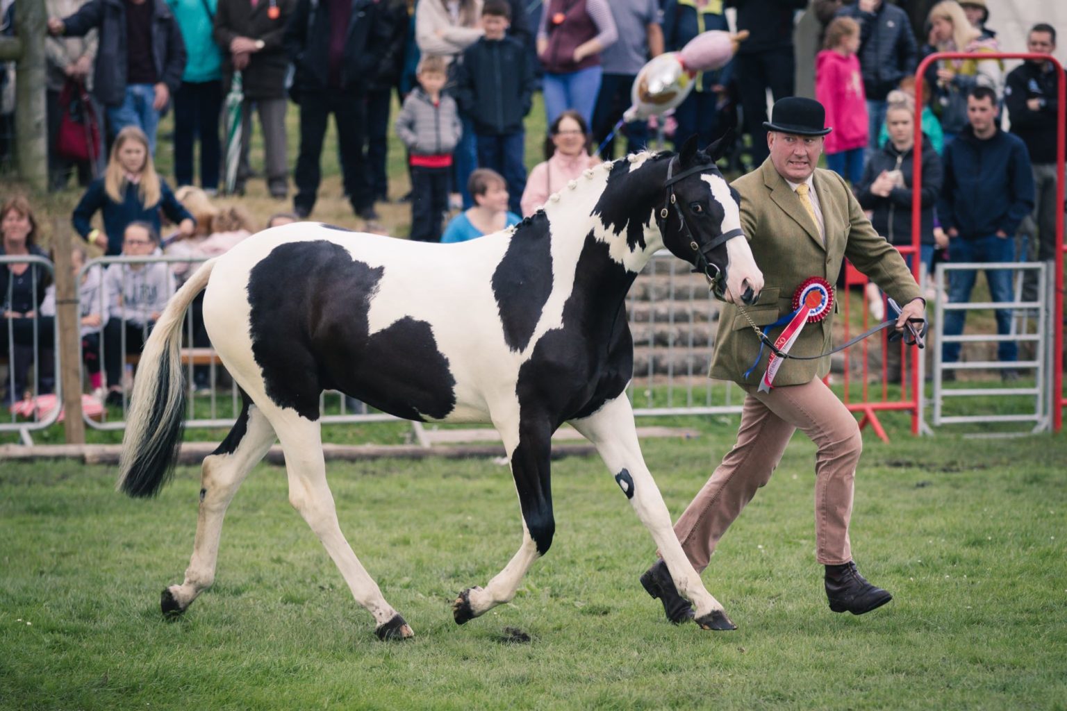 A Day at Caithness Show Caithness Show